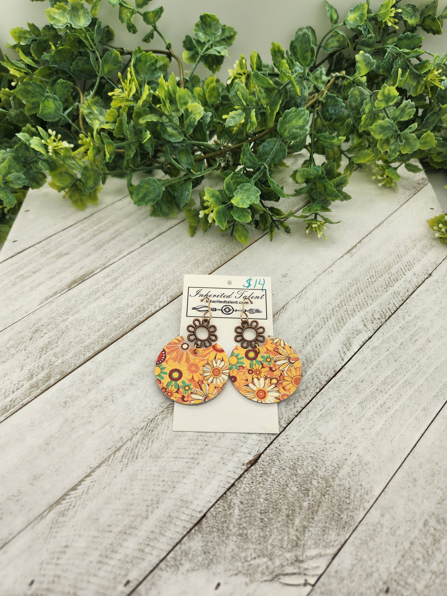 Multi colored earrings